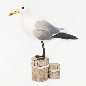 Gaviota sobre un tronco