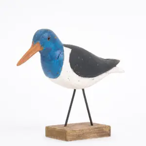 Precioso pájaro costero con base